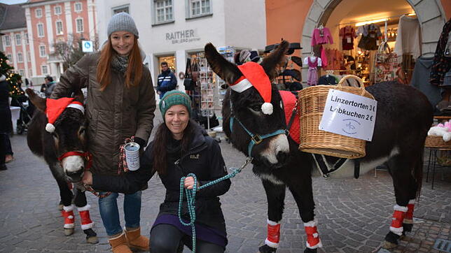 Der Meersburger Weihnachtsmarkt ist von Wohltätigkeisaktionen geprägt – auch für Tiere. Selbstgebackenes für die Eselhilfe auf Korfu ...
