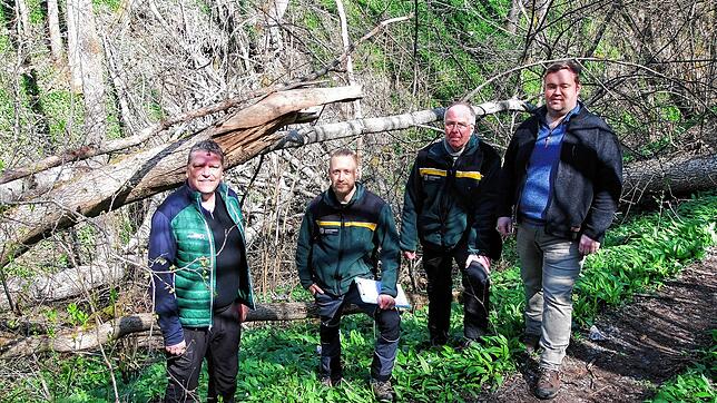 In der Klingenbachschlucht sind 500 Eschen von einem schädlichen Pilz befallen, über 80 kippten bereits ohne Vorwarnung um. Nun sollen ...