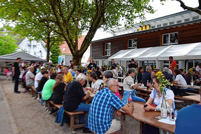 Bild 3: Bilder vom Winzerfest in Erzingen