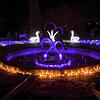 Etwa zwei Dutzend Figuren und Lichtinstallationen erhellen die Insel Mainau während des Christmas Gardens. Bild: Oliver Hanser