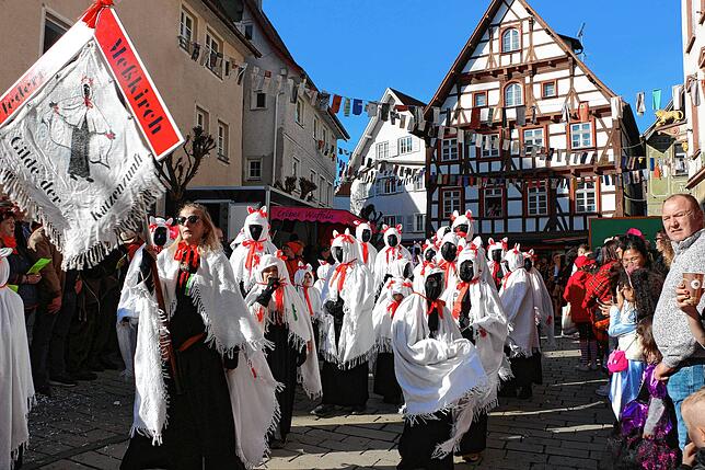 Bild 4: Die schönsten Bilder vom Umzug in Meßkirch (1)