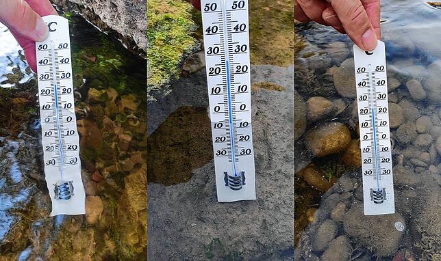 Die Temperaturen in der Wutach, gemessen am 3. und 4. August, von links: die Wutach bei der Brücke in Oberlauchringen (27 Grad), das ...