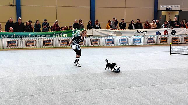 Karin Baumann aus Bern und Chihuahua-Hündin Kira zeigen ihren &bdquo;Dogdance&ldquo;.