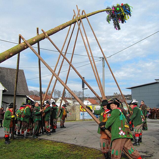 Da gehören sie hin: Die Holzhaudere-Zunft beim Narrenbaumstellen in ihrem Gäu. Das Bild entstammt dem Zeitungsarchiv, aus längst ...