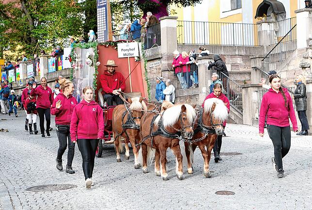 Bild 9: Reitturnier mit fulminantem Start