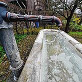 Nicht überall, wie bei diesem Brunnen in Bambergen, wurde das Wasser abgestellt.