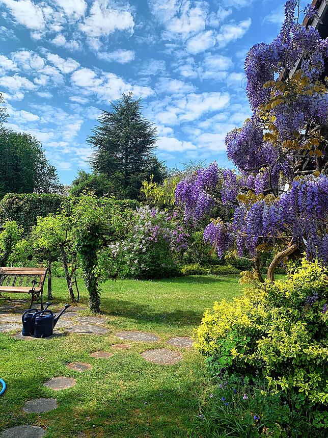Dieser schöne Garten liegt in Dingelsdorf, er gehört Ulrike Brüning.