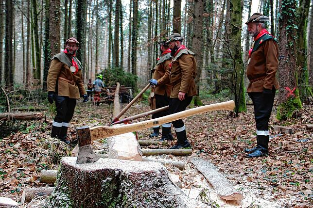 Mit Axt und Kettensäge bearbeiten die Holzhauer den Narrenbaum.