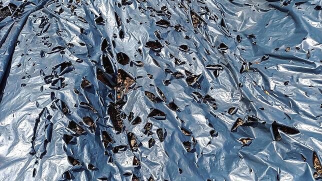 PAK-haltiges Material muss gesichert werden, damit das Gift durch Wind, Wasser oder andere Faktoren nicht in die Umwelt gelangt. Unser ...