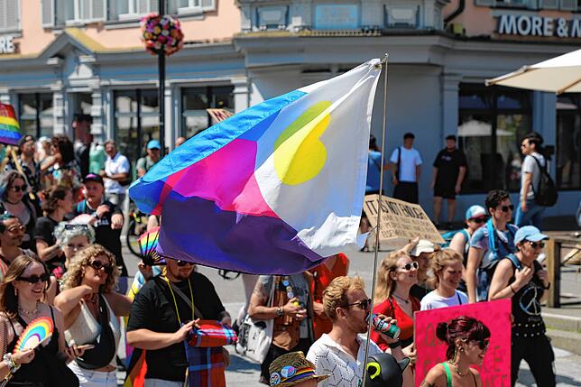 Bild 15: Ein bunter Protestzug zieht durch Konstanz und Kreuzlingen