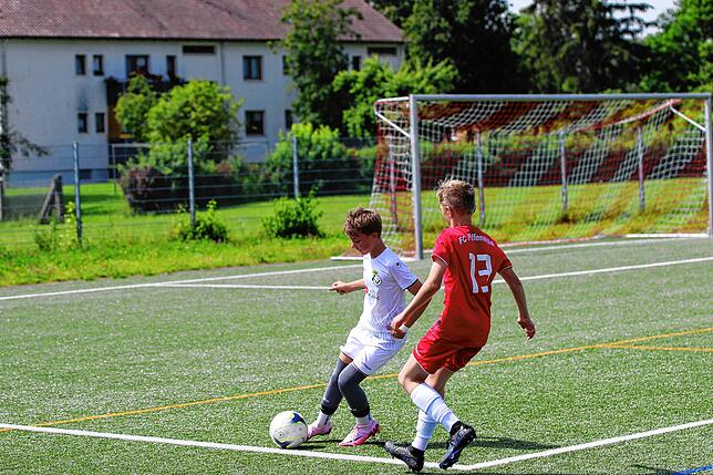 Bild 8: Unsere Bildergalerie vom Pokalfinale der D-Junioren zwischen dem FC Pfaffenweiler und SG Peterzell!