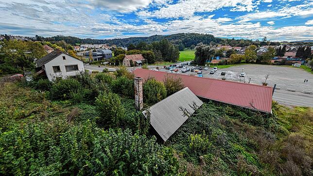 Das frühere Gärtnerei-Areal an der Stadtmauer ist komplett überwuchert. Dort soll ein Pflegeheim entstehen. Hintern rechts ist der ...