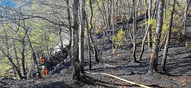 Feuerwehrleute löschen einen Waldbrand in der Nähe der Albtalstraße zwischen den Albbrucker Ortsteilen Schachen und Buch.