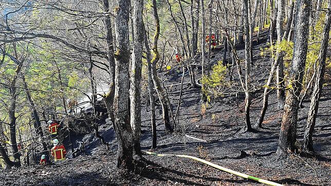 Feuerwehrleute löschen einen Waldbrand in der Nähe der Albtalstraße zwischen den Albbrucker Ortsteilen Schachen und Buch.