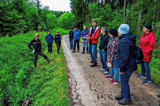 Bei der ersten von vier Stationen der Waldbegehung geht es um den Biber im Wittmannstal.