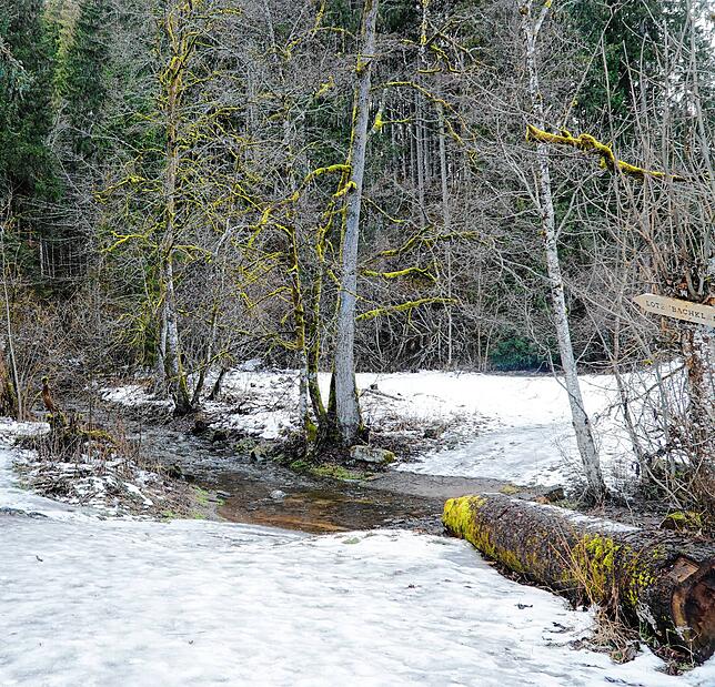 Trotz schöner Sonnentage herrscht in der Wutachschlucht noch Winter mit Schnee und Eis.