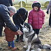 Streicheleinheiten für die Schlittenhunde gab es reichlich im Husky-Camp.