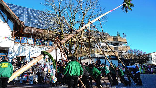 Die Zimmermannsgilde hievt mithilfe von hölzernen Schwalben den Narrenbaum vor dem Daisendorfer Rathaus in die Höhe.
