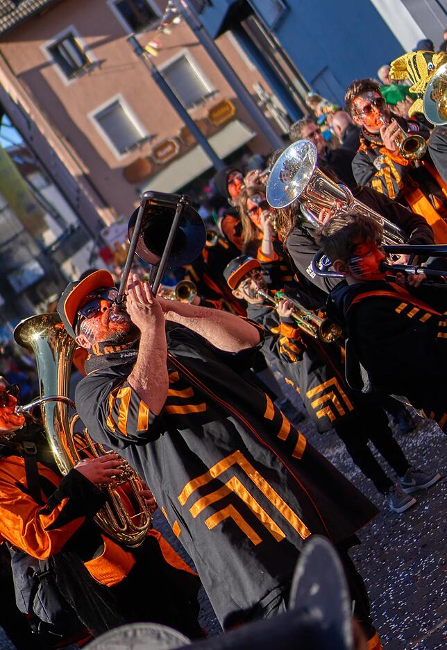 Bild 5: Bilder vom großen Umzug durch die Bad Säckinger Altstadt