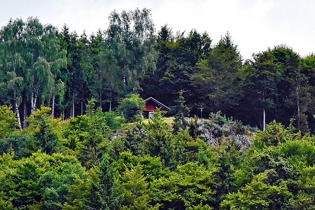 Kreuzfelsenhütte mit Grillplatz über Wittenschwand.