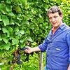 Berthold Clauß freut sich auf den Jahrgang 2022, der ein außergewöhnlicher zu werden verspricht.