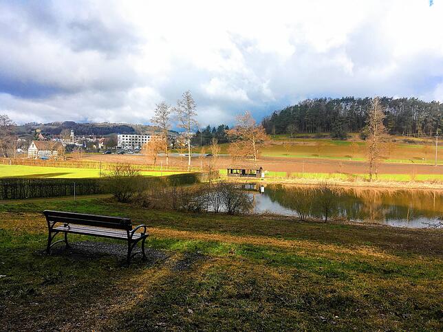 Der Blick von der Bank beim Eisweiher auf einen Teil des künftigen Aachparks. Dieses Foto entstand im Frühling 2021. Bild: Katharina Riedel