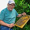 Hobbyimker Andreas Keil mit einer Wabe aus einem seiner noch verbliebenen Bienenstöcke. Zwei Bienenstöcke, deren Waben prallvoll mit ...