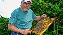 Hobbyimker Andreas Keil mit einer Wabe aus einem seiner noch verbliebenen Bienenstöcke. Zwei Bienenstöcke, deren Waben prallvoll mit ...