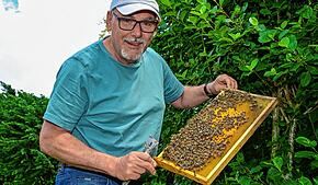 Hobbyimker Andreas Keil mit einer Wabe aus einem seiner noch verbliebenen Bienenstöcke. Zwei Bienenstöcke, deren Waben prallvoll mit ...