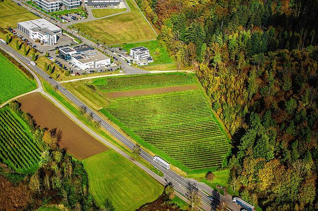 Das Grundstück im interkommunalen Gewerbegebiet Blumhof, auf dem einmal eine Tierklinik entstehen soll. Momentan ist dort ein Rosenfeld.