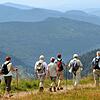 Kurzurlaub liegt im Trend: Eine Wandergruppe geht im Schwarzwald spazieren.