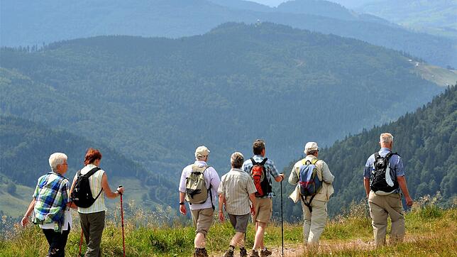 Kurzurlaub liegt im Trend: Eine Wandergruppe geht im Schwarzwald spazieren.