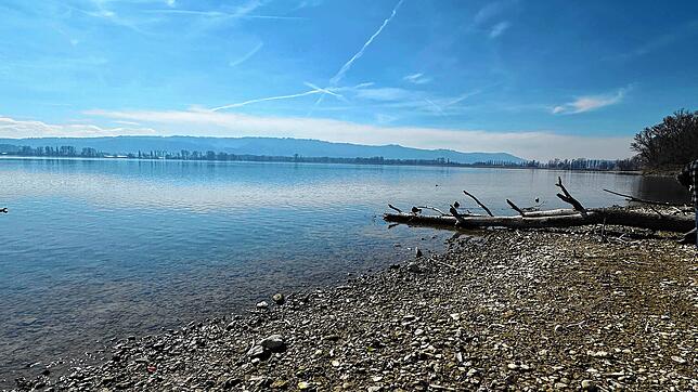 Der Bodensee gilt als stabiler Trinkwasserspeicher. Die Bodensee-Wasserversorgung entnimmt deutlich weniger Wasser, als hineinfließt. ...