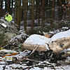 Trümmerteile und ein Sitz liegen am 15. Dezember 2017 in einem Wald bei Waldburg. Dabei kam auch der Friedrichshafener Bäderunternehmen ...