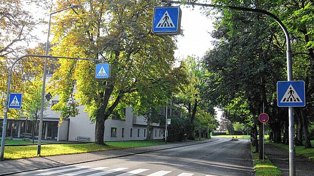 Zebrastreifen vor dem Bürgerheim: Eine Verkehrsschau soll im Juli klären, ob an dieser Stelle eine Ampel installiert werden könnte.