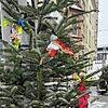 Christbaumkugeln weg, bunte Schleifchen dran &ndash; fertig ist der Narrenbaum.
