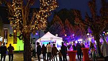 Der Lichtereinkaufsabend am Freitag lockt einige Tausend Besucher in die Innenstadt von Rheinfelden. Bilder: Heinz Vollmar