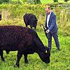 Nebenerwerbslandwirt Alexander Barth gemeinsam mit Oberbürgermeister Jan Zeitler beim Füttern der Galloway-Rinder.