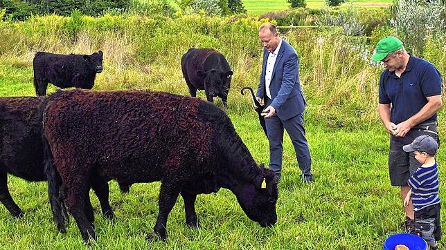 Nebenerwerbslandwirt Alexander Barth gemeinsam mit Oberbürgermeister Jan Zeitler beim Füttern der Galloway-Rinder.