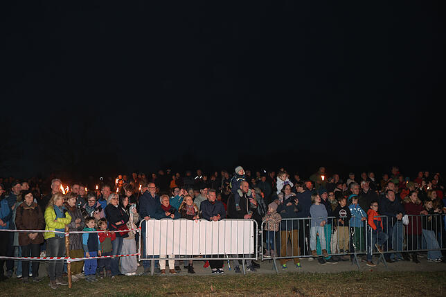 Bild 3: Litzelstetten 2025: Diese Funkenfeuer-Bilder fangen die Tradition perfekt ein!