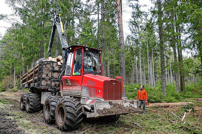 Wegen der Borkenkäfergefahr muss das Holz möglichst schnell abtransportiert werden. Hier kommt Dieter Hasenfratz auf Dittishausen zum ...
