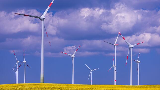 Windräder gelten als Symbol der Energiewende in Deutschland. Doch nicht überall treffen sie auf Akzeptanz. (Symbolbild)