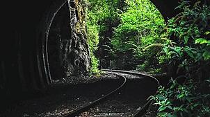 Selbst in der Schwarzwaldbahn auf ihrer idyllischen Fahrt können sich besondere Dinge ereignen, die der Aufklärung bedürfen. Foto: ...
