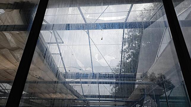 Bild 11: Hagelkörner groß wie Taubeneier! Bilder vom Unwetter am 1. Juni in Bad Säckingen - und den Schäden