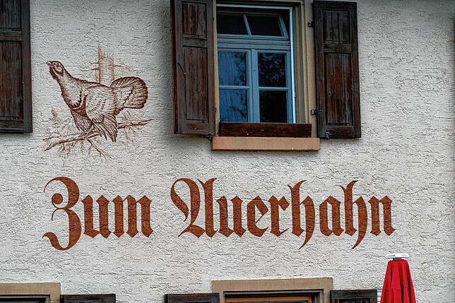 Es mag sein, dass im Wald beim Gasthaus Auerhahn im Neuhäuslewald in den vorherigen Jahrhunderten noch Auerhähne zu sehen waren, heute ...