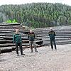 Vöhrenbachs Bürgermeister Robert Strumberger (von links) freut sich mit dem Leiter des Forstbezirks Hochschwarzwald, Hans-Ulrich Hayn, ...