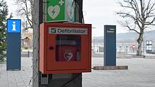 Der Defibrillator am Seeum in Bodman.