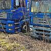 Die Lastwagen auf dem Gelände in der Lindauer Straße verfallen zusehends.