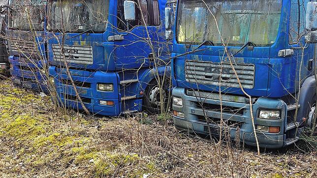 Die Lastwagen auf dem Gelände in der Lindauer Straße verfallen zusehends.
