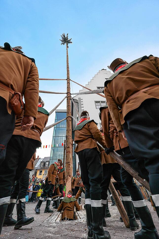 Bild 1: Bilder vom Narrenbaumstellen in Radolfzell